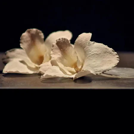 Hotel Hotel & Spa Waldecker Hof 3*