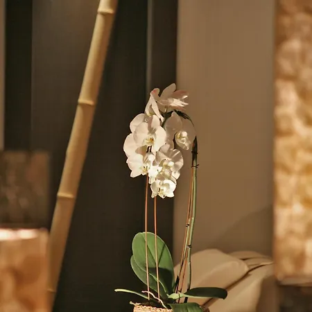 Ξενοδοχείο & Waldecker Hof Willingen (Upland)