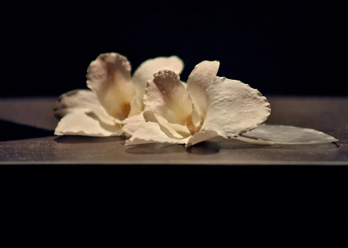 Szálloda & Waldecker Hof 3*